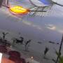 Thaïlande - 
