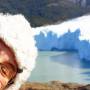 Argentine - 
