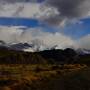 Argentine - 
