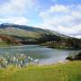 Argentine - Parc national de la Terre de Feu