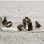 Cambodge - 