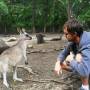 Australie - un nouveau copain !