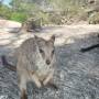 Australie - 