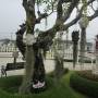 Thaïlande - 