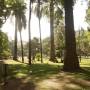 Argentine - Plaza San Martin