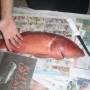 Australie - Big fish