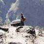 Chine - 