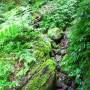 Australie - ce vert me donne la gerbe