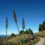 Mexique - Debut de rando dans les Pueblos Mancomunados 