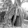 Cambodge - l