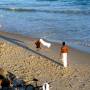 Brésil - Capoeira et Football sur la plage d