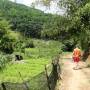 Chine - 