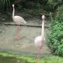 Taiwan - Taipei Zoo