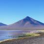 Bolivie - Trip Uyuni. Lago Colorado, avec des flamants roses