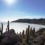 Bolivie - Salar d´Uyuni, isla Incahuasi