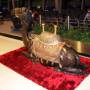 Émirats Arabes Unis - Aéroport d