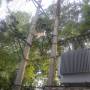 Chine - 