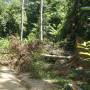 Malaisie - 