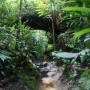 Malaisie - 