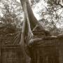 Cambodge - 
