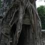 Cambodge - 