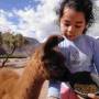 Argentine - 