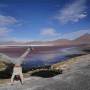 Bolivie - 