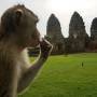 Thaïlande - 