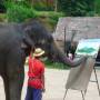 Thaïlande - 