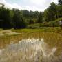 Thaïlande - 