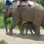 Thaïlande - 