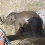 Thaïlande - 
