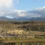 Argentine - Terre de feu