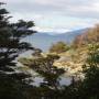 Argentine - Parc de la Tierra del Fuego