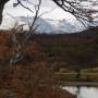 Argentine - Parc de la Tierra del Fuego