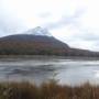 Argentine - Parc de la Tierra del Fuego