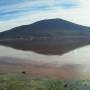 Bolivie - la laguna colorada avec ses flammands roses