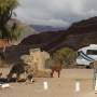 Argentine - Entre Salta et Cafayate