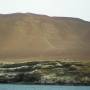 Pérou - A Paracas, un geoglyphe comme les lignes de Nzca dessine sur le flanc de la colline, face a la mer