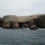 Pérou - des cormorans, des mouettes, des fous de bassans, des pelicans... mais pas de cacatoes ni de toucan.