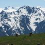 USA - Olympic National Park