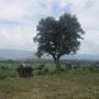 Birmanie - En explorant le Nord de Nyangshwe à velo