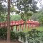 Viêt Nam - Old District