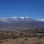 Argentine - 