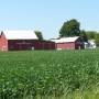 Canada - Ferme Sarnia