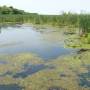 Canada - Pointe Pelée National Parc