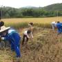 Chine - Allez au travail