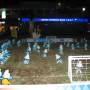 Indonésie - Match de Stroumphs