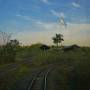 Argentine - 