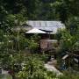 Indonésie - Bukit lawang